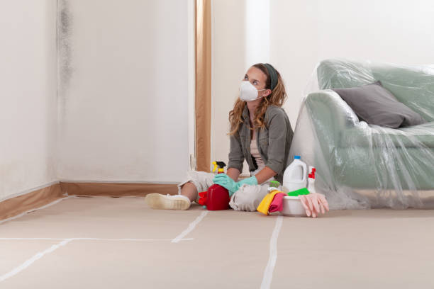 Reliable Mold Testing contractor in Euless, TX by WQB Mold Removal